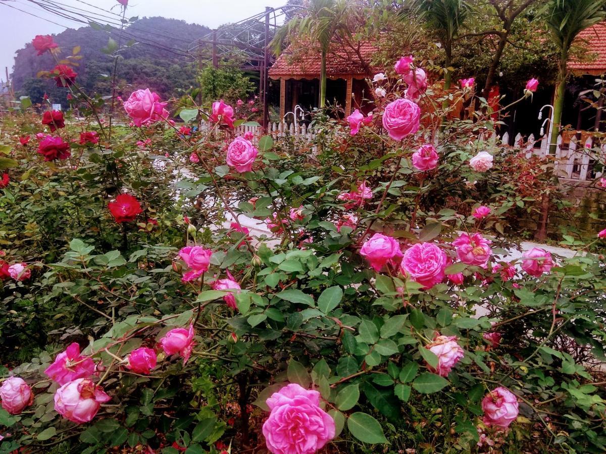 Tam Coc Eco Field Homes นิญบิ่ญ ภายนอก รูปภาพ