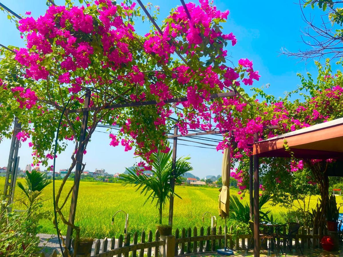 Tam Coc Eco Field Homes นิญบิ่ญ ภายนอก รูปภาพ